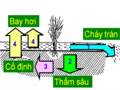 Giải pháp giảm thất thoát phân bón