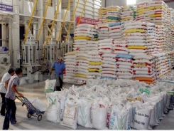 More than 200 enterprises qualified for exporting rice