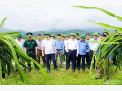 Mất mùa, giá lúa tươi giảm, nông dân Hà Tĩnh kém vui