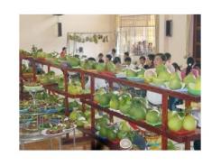 Sẵn Sàng Cho Ngày Hội Cây - Trái Ngon Năm 2012