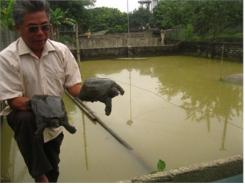 Thu Hàng Trăm Triệu Đồng Từ Ba Ba