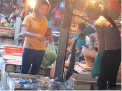 Vụ “Rửa” Cá Tầm Trung Quốc Không Có Bằng Chứng