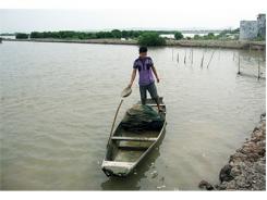 Quảng Yên (Quảng Ninh) Đẩy Mạnh Phát Triển Thuỷ Sản