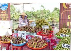 Thị Xã Thuận An (Bình Dương) Phát Huy Giá Trị Vườn Cây Ăn Trái Đặc Sản