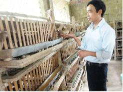 Mạnh Dạn Tìm Hướng Đi Mới