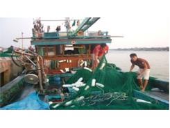 Quảng Trị Tích Cực Giải Quyết Đầu Ra Cho Nguồn Lợi Thủy Sản