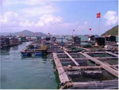 Huyện Bá Thước (Thanh Hoá) Phát Triển Nghề Nuôi Cá Lồng Trên Lòng Hồ Thủy Điện