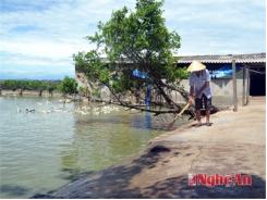 Nghị Lực Làm Giàu Của Một Cựu Chiến Binh