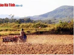 300 ha sản xuất lúa hè thu ở Hương Khê thiếu nước gieo cấy