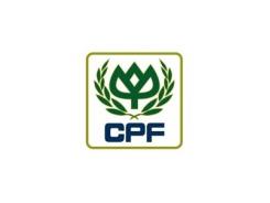 CP Foods hy vọng phục hồi sản xuất tôm