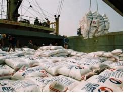 Gỡ khó tạm thời cho gạo Việt Nam