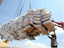 VFA điều chỉnh giá sàn gạo xuất khẩu