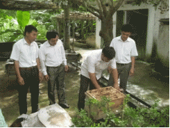Nghề nuôi ong lấy mật ở huyện Cẩm Thủy cho hiệu quả kinh tế cao