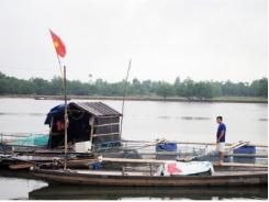Nuôi cá lồng, hướng đi mới cho nông dân Duy Ninh (Quảng Bình)