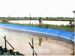 Xuân Hòa (Nam Định) phát triển nuôi trồng thủy sản theo hướng bền vững