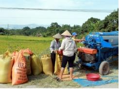 Quang Bình tập trung thu hoạch lúa và các loại cây trồng vụ Xuân