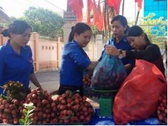 Tỉnh đoàn Quảng Ngãi tham gia tiêu thụ vải thiều