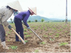 Mang Yang đẩy nhanh tiến độ gieo trồng vụ mùa