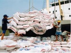Xuất khẩu gạo bất cập từ cách quản