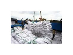 Đã xuất khẩu hơn 2 triệu tấn gạo