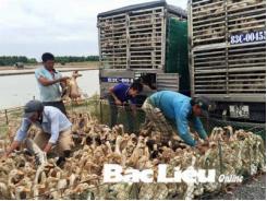 Bạc Liêu chủ động phòng chống dịch bệnh vào đầu mùa mưa