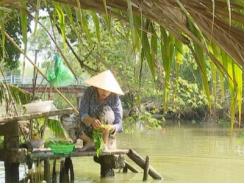 Nông thôn khổ với chất thải chăn nuôi