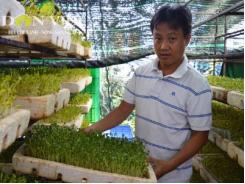 Đột phá mô hình nông nghiệp đô thị xanh