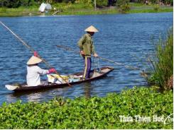 Thừa Thiên Huế tăng cường bảo vệ nguồn lợi thủy sản