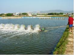 Hạn hán ảnh hưởng đến nuôi trồng thủy sản