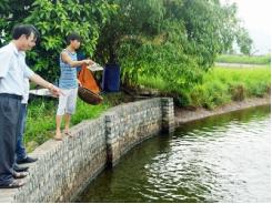 Hoàng Quế (Quảng Ninh) phát huy thế mạnh nuôi trồng thủy sản