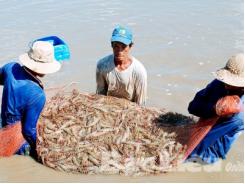 Phát triển nghề nuôi trồng thủy sản theo hướng bền vững