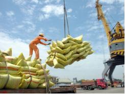 Trong tháng 5, xuất khẩu gạo tụt dốc cả lượng lẫn giá