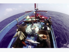 Hội Nghề cá Việt Nam: Khó khăn không ngăn hành động