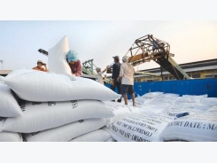 Vietnam's rice exports return to growth