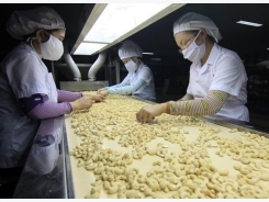 Vietnam expects to earn US$3.3 billion from cashew exports