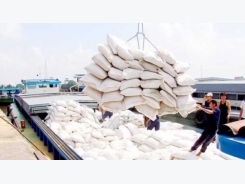 Rice export price touches three year high