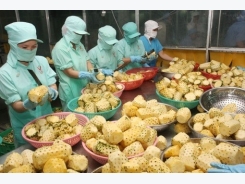 Fruit, vegetable exports hit 1.38 billion USD in five months