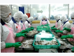 US refuses shrimp entry from Vietnam for banned antibiotics