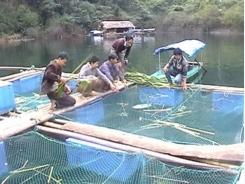 North Viet Nam eyes aquaculture growth