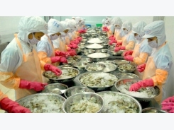 Australia allows shrimp processed in Vietnam to be re-imported