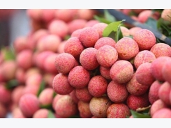 Vietnamese fresh lychees enter Thailand