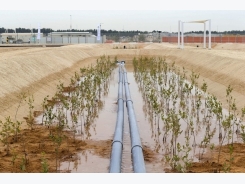 Masdar trials desert fish farms and biofuels grown with seawater