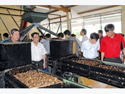 Assoc targets cashew exports of US$3.3 billion