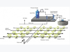 Drip Irrigation Information Guide