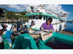 Fiji thúc đẩy chương trình phát triển nghề cá ngừ bền vững