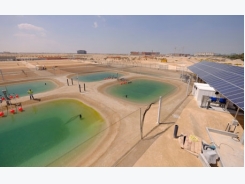 UAE to grow food and fuel in desert using seawater