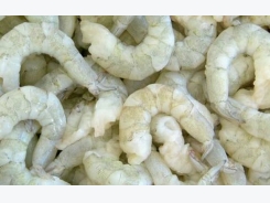 US Commerce Department found at fault in Vietnamese shrimp antidumping analysis