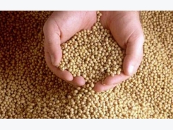 Soy sustainability protocol approved by BAP