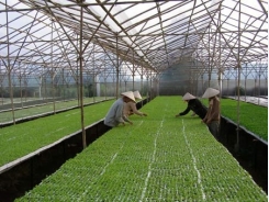 Making farming in the clouds a reality in Vietnam