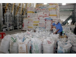 Rice exports to Russia shoots up 700 percent